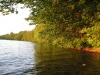 image002