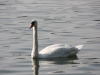 foto2011_05_0448