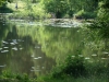 DSC02008
