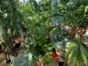 IMG-20250322-WA0043
