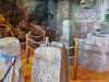 IMG-20250322-WA0046
