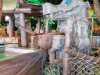 IMG-20250322-WA0050